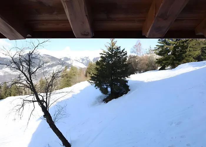 Appartement Les Craterelles 3 - 1650